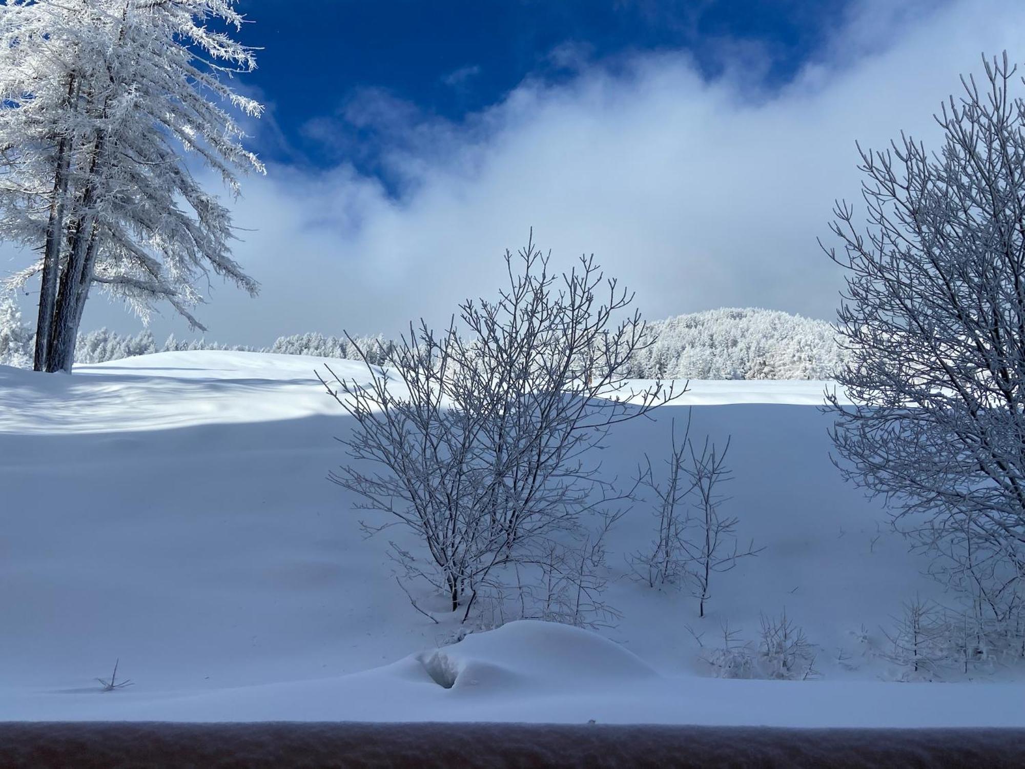 Pied Des Pistes, 2 Pieces, 6Pers, Piscine Et Sauna Ризуль Экстерьер фото